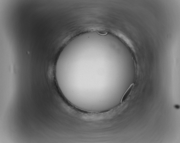 X0000114660009200910201030