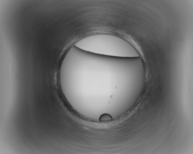 X0000114660010200910201030