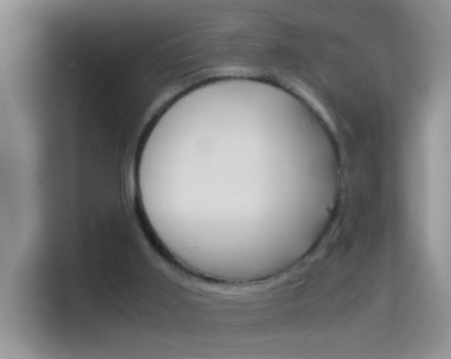 X0000114660011200910201030