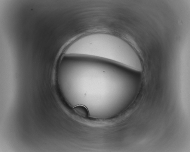 X0000114660012200910201030