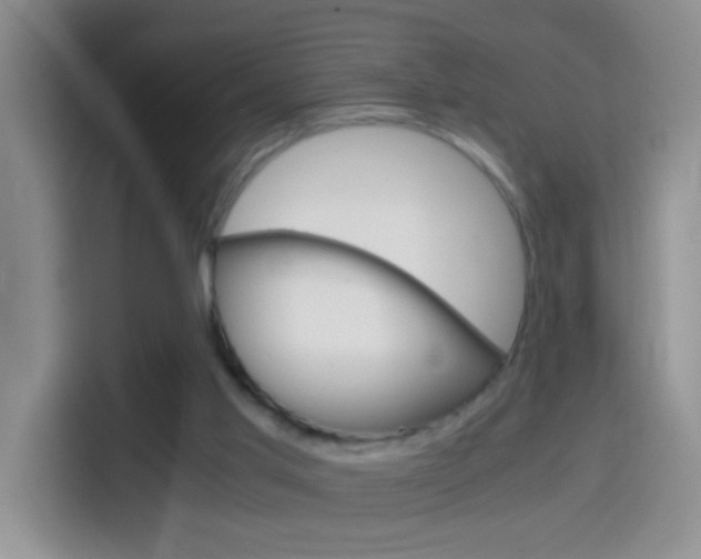 X0000114660013200910201030