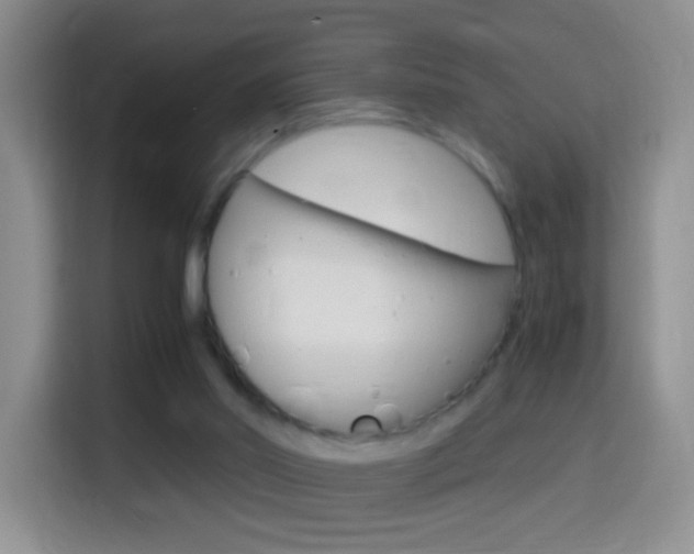 X0000114660014200910201030