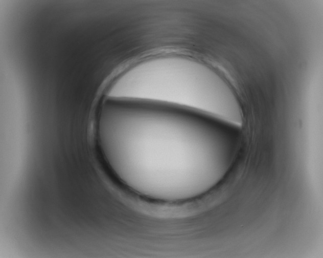 X0000114660016200910201030