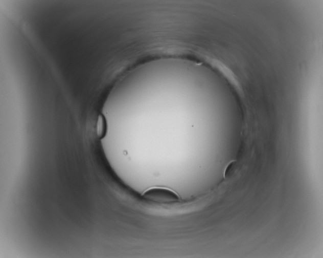 X0000114660017200910201030