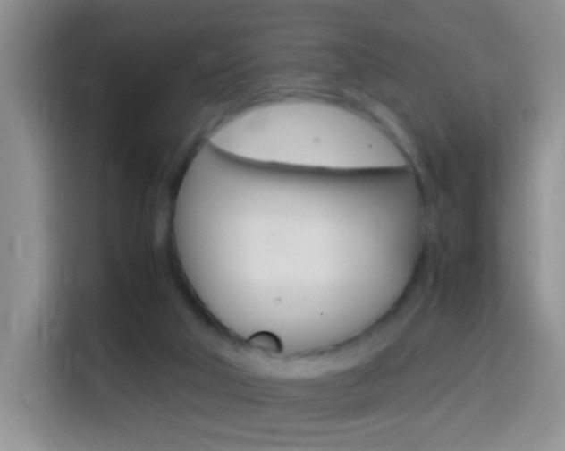 X0000114660018200910201030