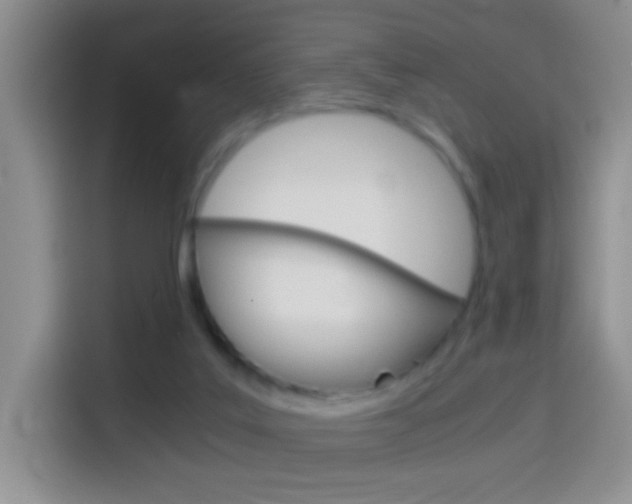 X0000114660019200910201030