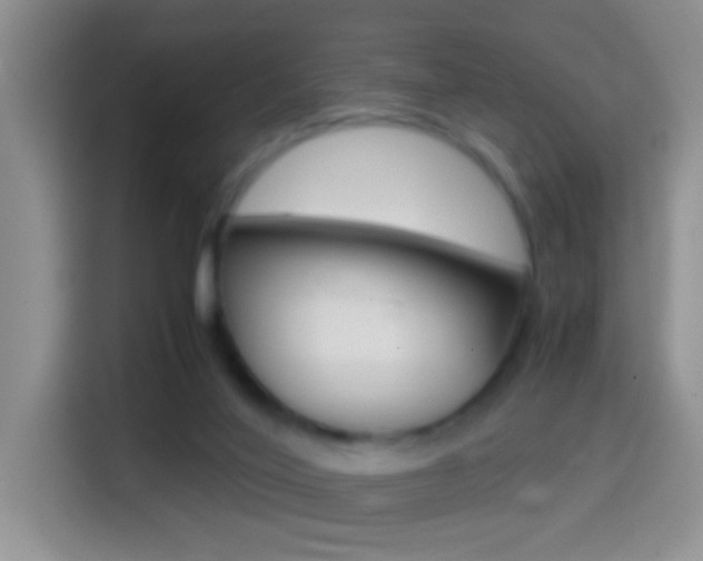 X0000114660020200910201030