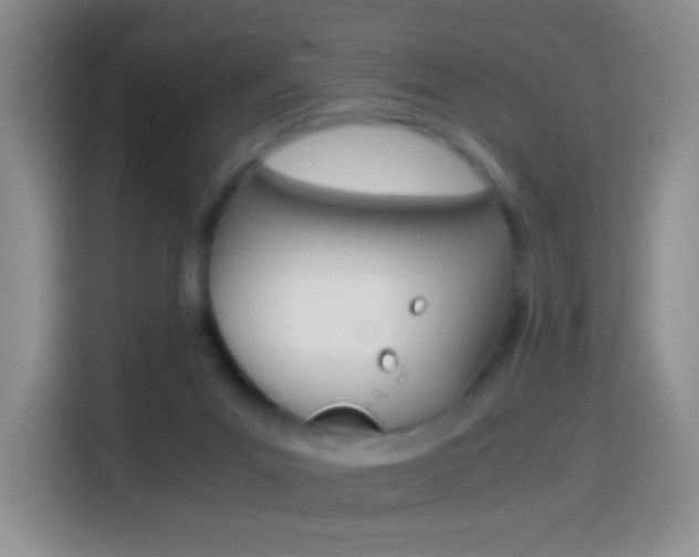 X0000114660023200910201030