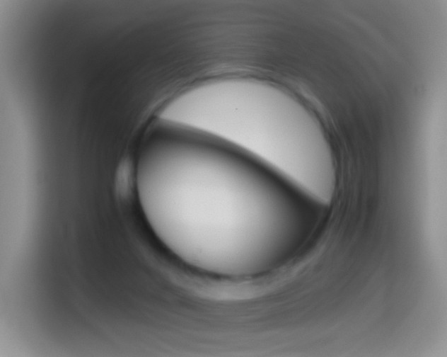 X0000114660024200910201030