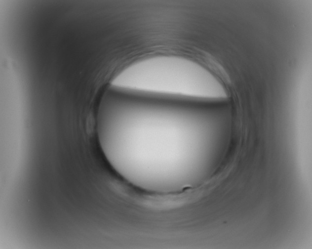 X0000114660025200910201030