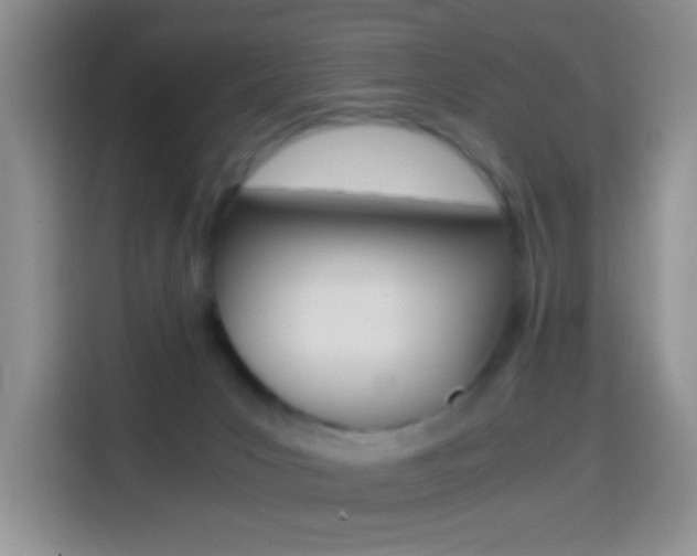 X0000114660031200910201030