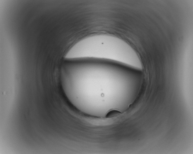 X0000114660036200910201029