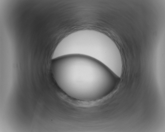 X0000114660037200910201029