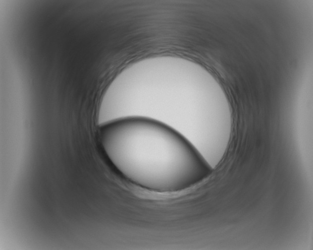 X0000114660039200910201029