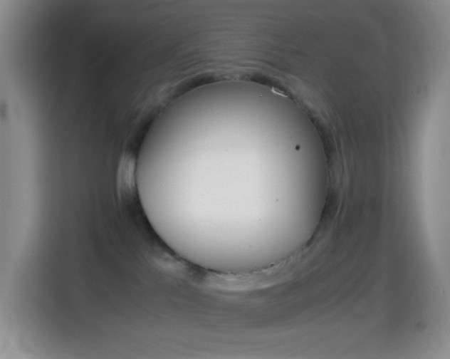 X0000114660041200910201029