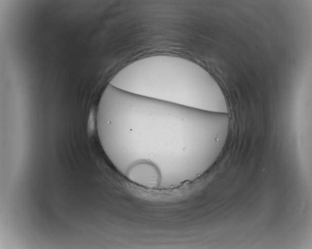 X0000114660042200910201029