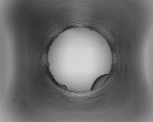 X0000114660043200910201029