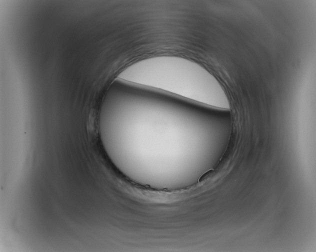 X0000114660044200910201029