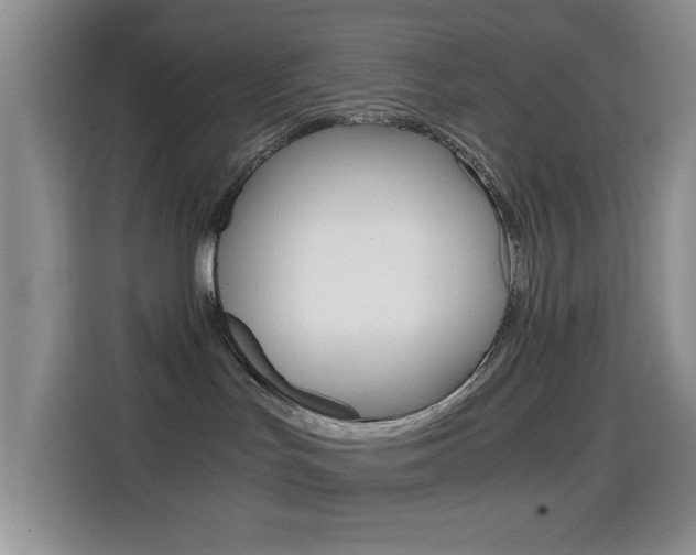 X0000114660047200910201029