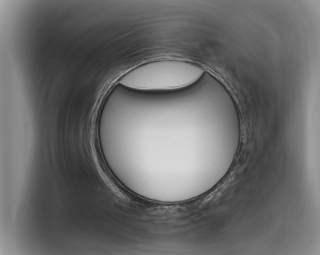 X0000114660049200910201029