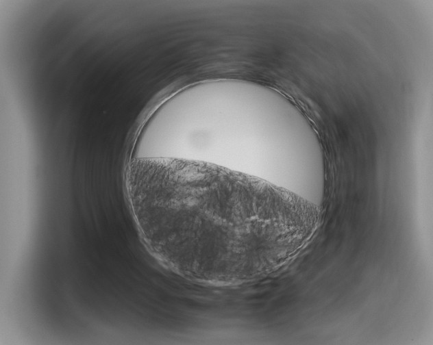 X0000114660051200910201029