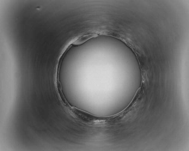 X0000114660052200910201029