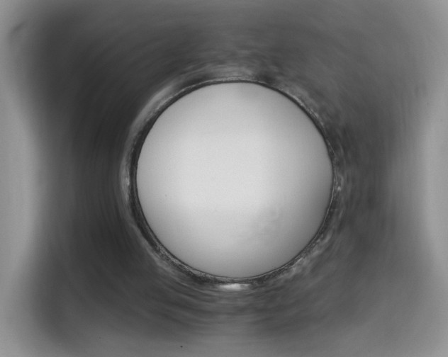 X0000114660053200910201029