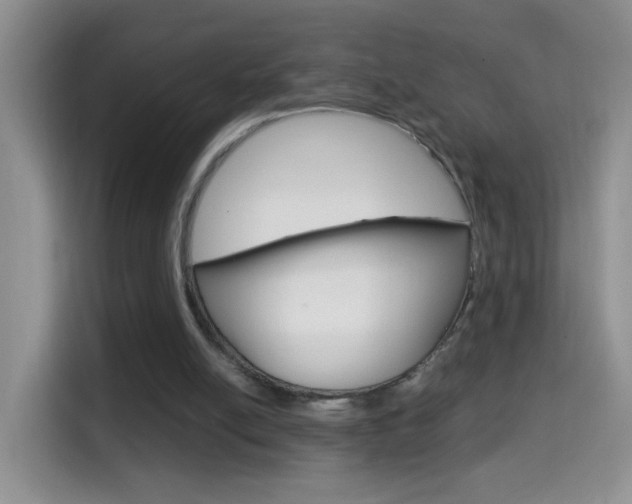 X0000114660054200910201029