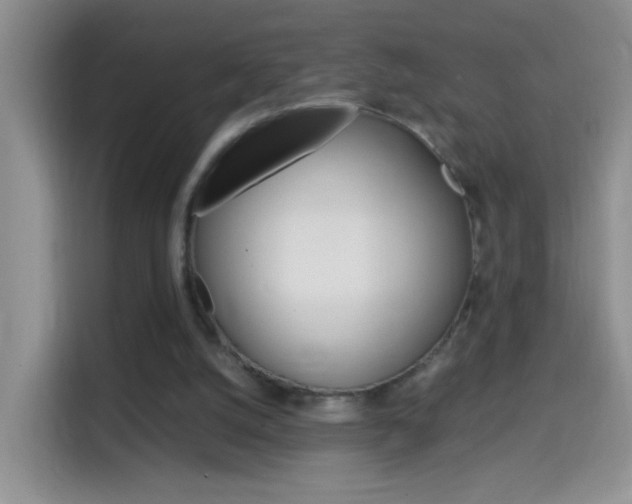 X0000114660056200910201029