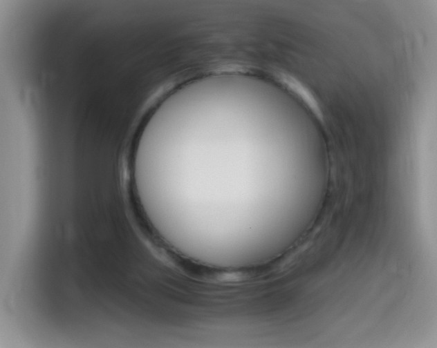 X0000114660059200910201029