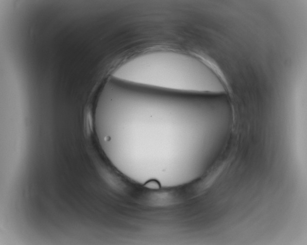 X0000114660061200910201029