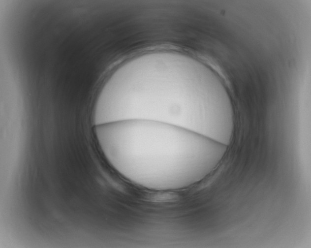 X0000114660063200910201029