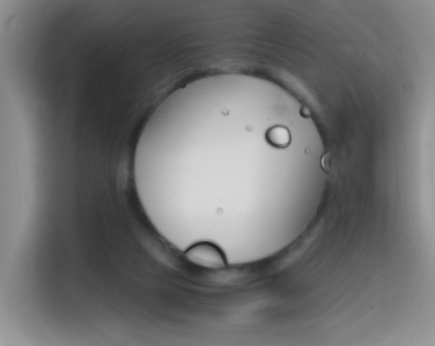 X0000114660065200910201029