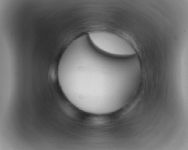 X0000114660069200910201029