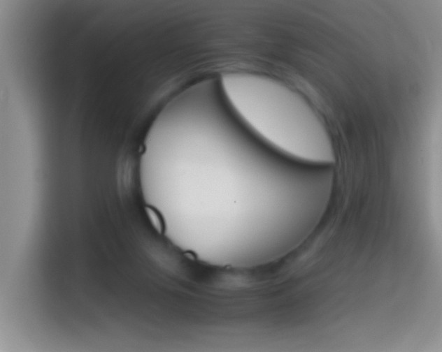 X0000114660071200910201029