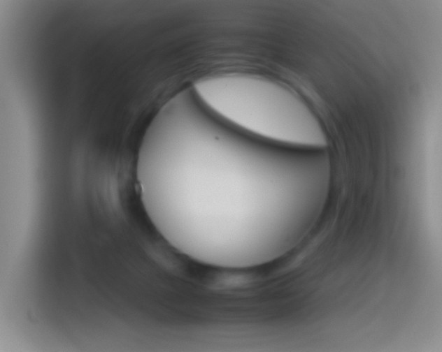 X0000114660073200910201029