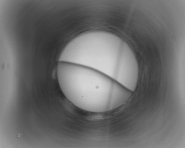 X0000114660075200910201029