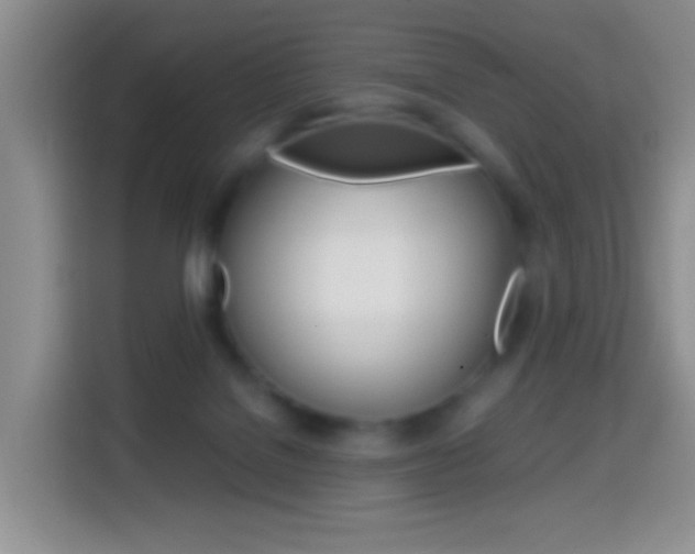 X0000114660076200910201029