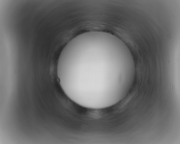 X0000114660079200910201029