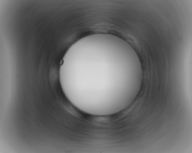 X0000114660081200910201029