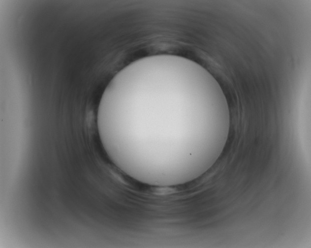 X0000114660087200910201029