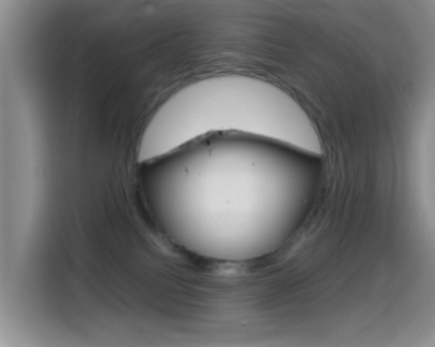 X0000114660088200910201029