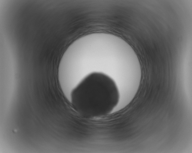 X0000114660089200910201029