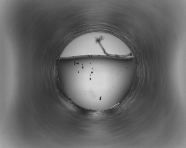 X0000114660092200910201029