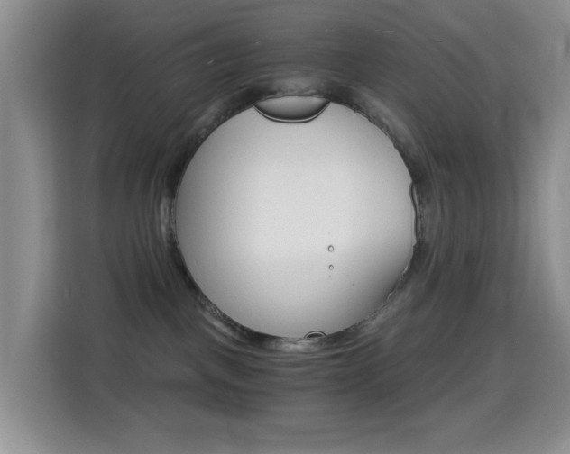 X0000114660093200910201029