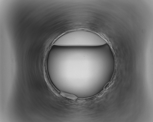 X0000114660097200910201029