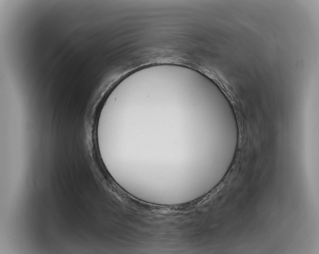 X0000114660098200910201029