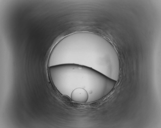 X0000114660099200910201029