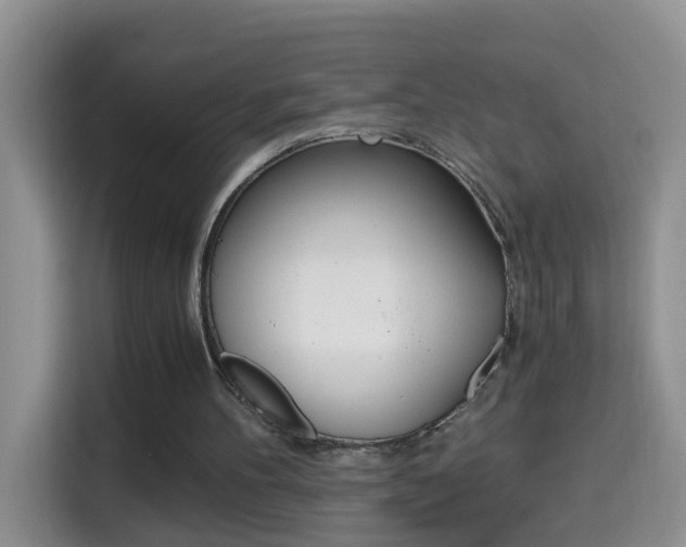 X0000114660100200910201029