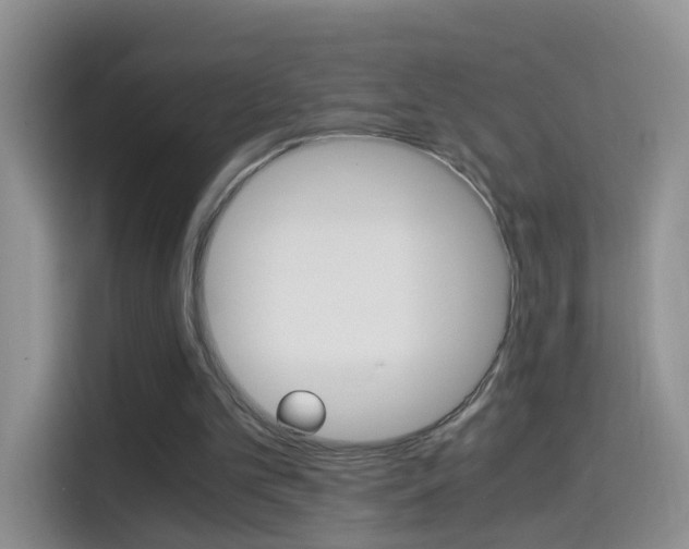 X0000114660101200910201029